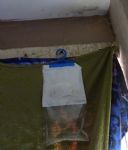 Salford disabled person living hell in Salix Homes flat